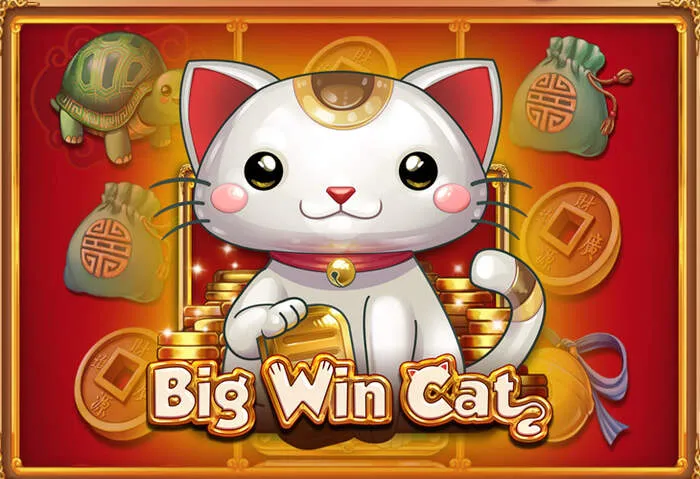 Jogos de caça-níqueis e apostas esportivas disponíveis no Brazino777casino Site.