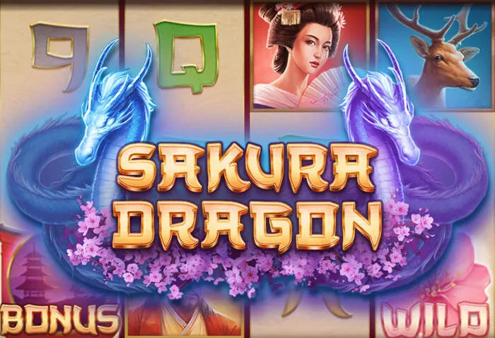 Mobile-friendly interface of the Brazino777 casino site for convenient play.